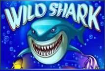 Wildshark